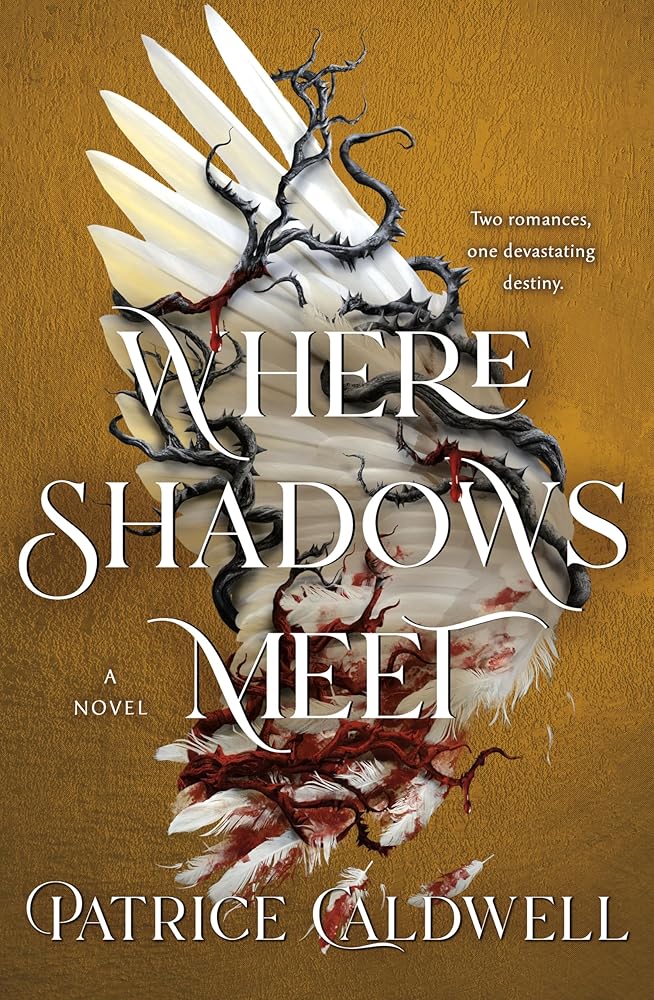 Where Shadows Meet: A Novel cover image