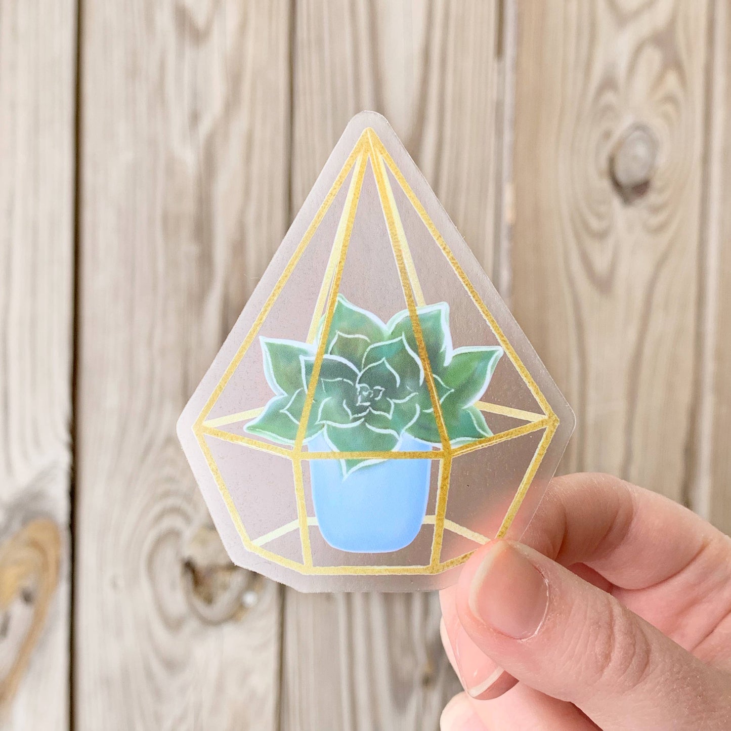 Watercolor Succulent Glass Terrarium Sticker 3x2.5in