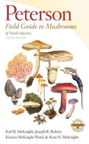 Peterson Field Guide To Mushrooms Of North America, Second Edition (Peterson Field Guides) by Karl B. McKnight, Joseph R. Rohrer, Kirsten McKnight Ward, Kent H. McKnight