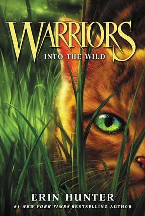 Warriors #1: Into the Wild (Warriors: The Prophecies Begin, 1) by Erin Hunter, Dave Stevenson