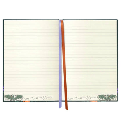 Throne of Glass: Abraxos Journal