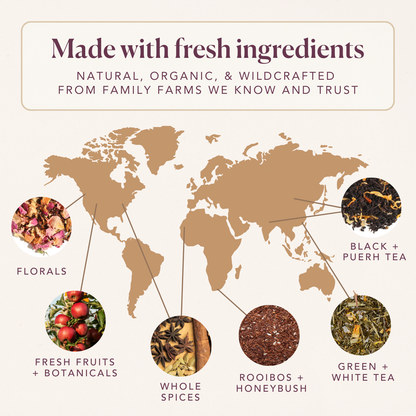 Strawberry Echinacea Immunity Herbal Loose Leaf Tea