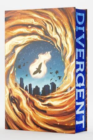 Divergent Deluxe Limited Edition (Divergent Series, 1) by Veronica Roth, Nicolas Delort