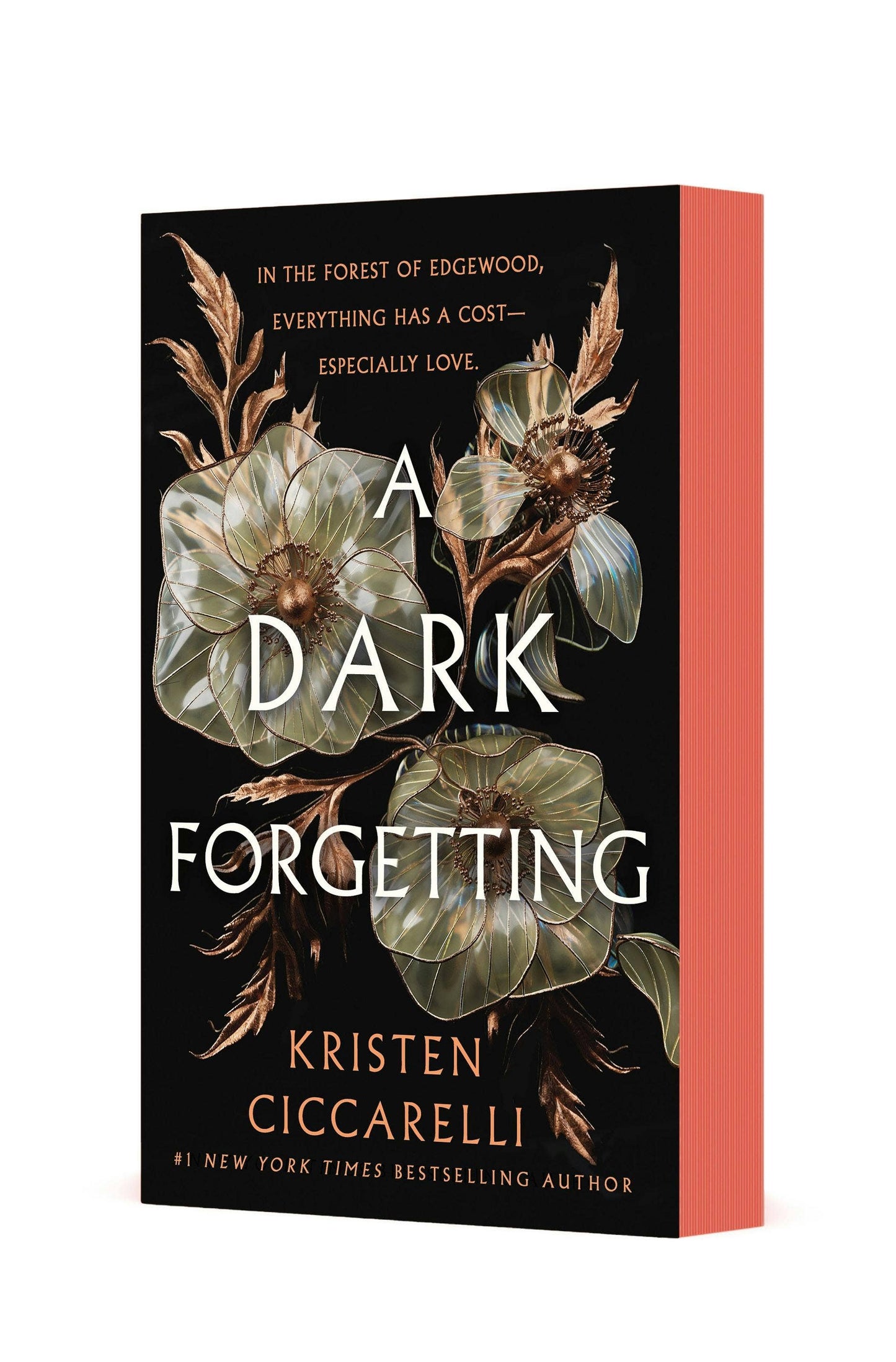 A Dark Forgetting: A Novel by Kristen Ciccarelli
