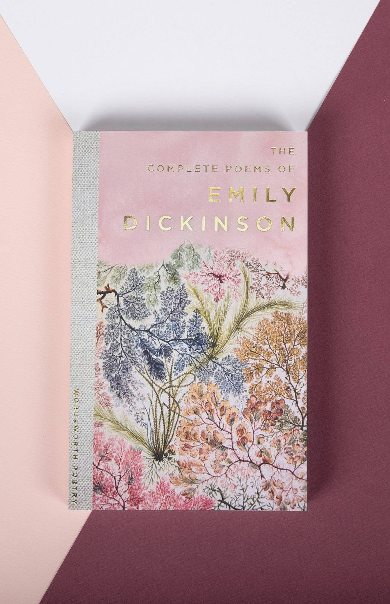 Selected Poems of Dickinson (Wordsworth Poetry Library) by Emily Dickinson